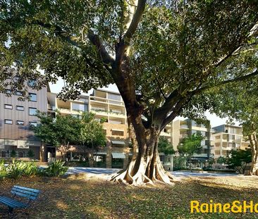 Stunning Sunny, Leafy Apartment - Photo 4