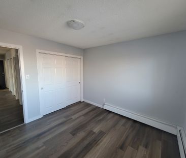 Modern and Spacious 2-Bedroom Apartment - SMALL PET FRIENDLY! - Photo 5