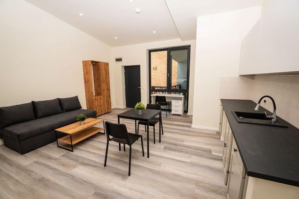 AA/1137 De închiriat apartament cu 1 cameră în Tg Mureș - Semicentral - Fotografie 1