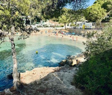 Avinguda Amèrica, 0, 07181 Portals Nous, Illes Balears, Spain, Port... - Photo 2
