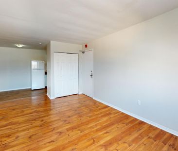 Bachelor Apartment - Photo 6