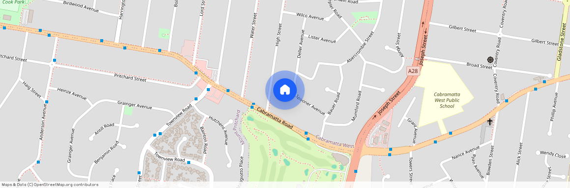 21 Spooner Avenue, Cabramatta NSW 2166