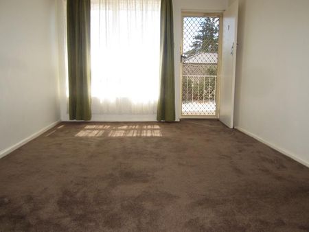 7/19 Ash Grove, Caulfield VIC 3162 - Apartment For Rent | Domain - Photo 3