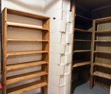 For Lease - 904 Maple Avenue Unit# Basement, Hamilton, Ontario - Photo 3