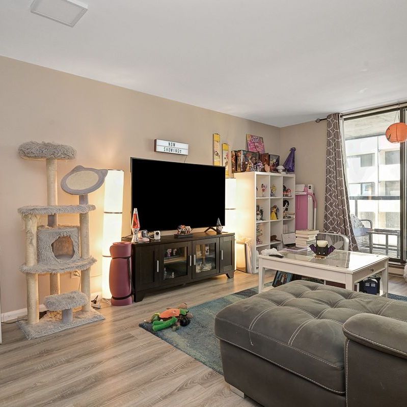 For Lease - 475 Laurier Avenue Unit# 1703, Ottawa Centre, Ontario - Photo 1