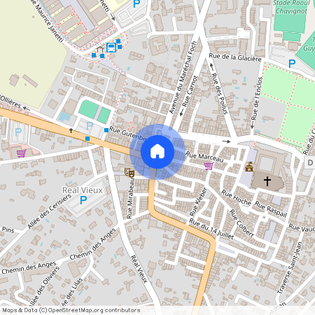 ST MAXIMIN LA STE BAUME (83470)