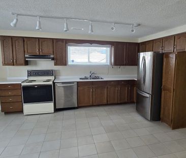 For Lease - 108 Rowntree Mill Road Unit# BSMT, Toronto, Ontario - Photo 2