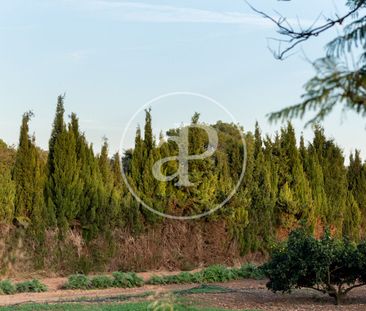 House for rent in Son Verí - Photo 5