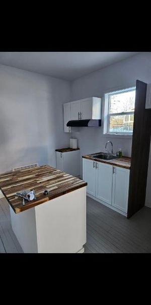 Logement 4 et Demi Rénové grand mère 7 e avenue - Photo 1