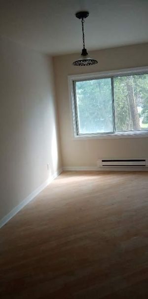 4 1/2 à Louer St-Laurent près du REM Bois-Franc - Photo 1