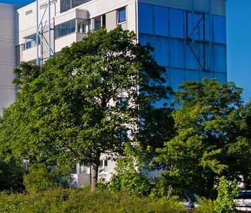 WG-Zimmer in gemütlicher Wohnung mit netter Atmosphäre - Photo 1