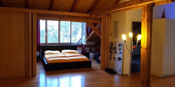 Charmante 1-Zimmerwohnung in Stadtnähe - Photo 3