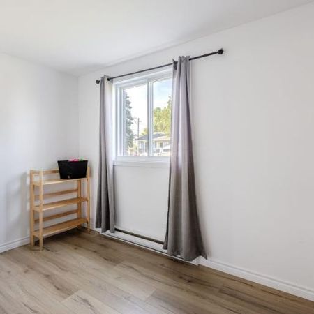 Appartement 4 ½ à louer Lévis juillet 2026 - Photo 4