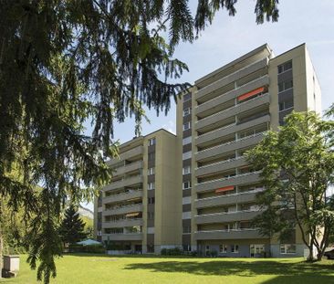 In der Abendsonne - Foto 1