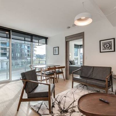 Available NOW -Pet Allowed Furnished 1 Bedroom @ 89 Nelson St - Photo 3