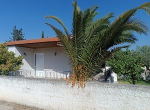 Μονοκατοικία για ενοικίαση - Κορωπί, - Photo 5