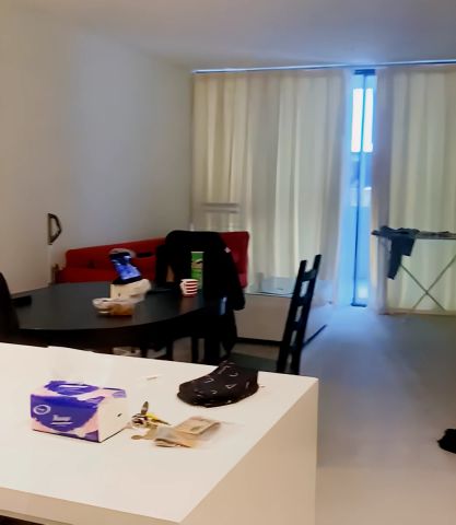 170Ross St, Sydney - Photo 3