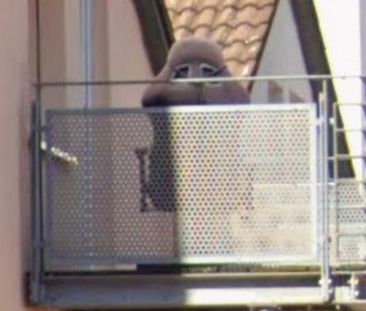 Wognung zu vermieten ab 1.11.25 - Photo 1