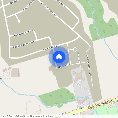 5 Red Squirrel Lane, Richmond Hill