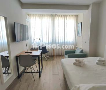 Estudio en alquiler en Paseo de la Castellana - Foto 6