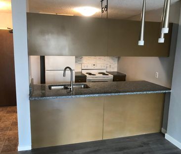 New counters, floor, paint, renovated like new 1 bdrm apartment in ... - Photo 3