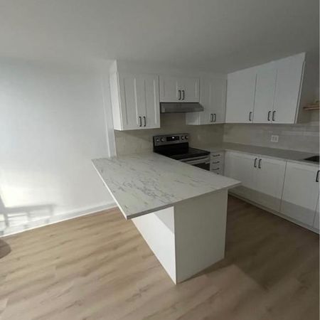 Appartement 1 chambre à Louer à Lachine - Niveau Demi Sous-Sol - Photo 3