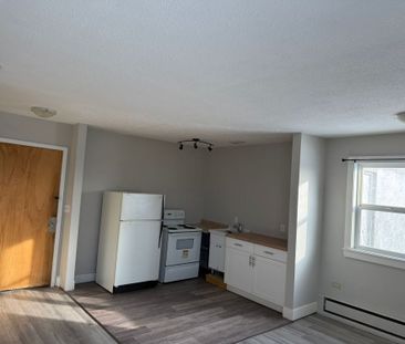 Cozy 1 Bedroom Apartment In The Heart Of Downtown Red Deer! - Photo 3