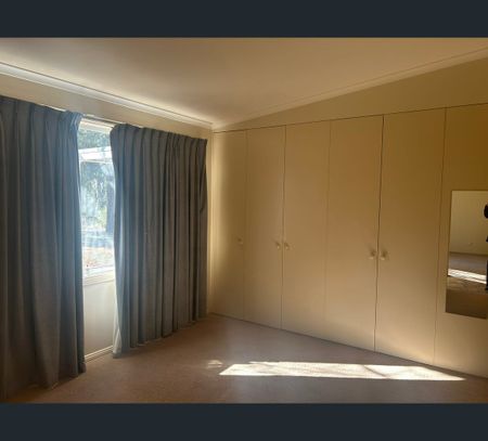 2 Irymple Avenue, Nichols Point, Vic 3501 - Photo 2
