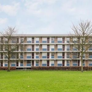 Ogierssingel 3076 CN Rotterdam - Foto 3