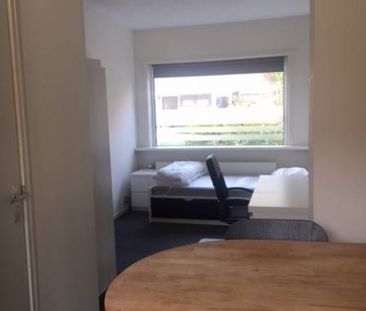 Te huur: Kamer Wilgenroosstraat in Eindhoven - Foto 6