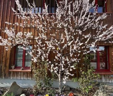 5 Zimmer, 2. Stock - Foto 3