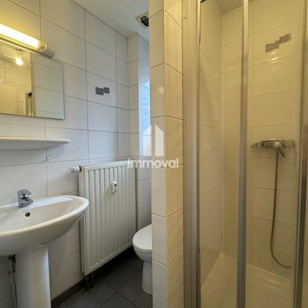 Location Appartement 1 pièce 24m² STRASBOURG 67200 - Photo 3