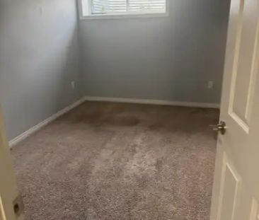 Modern 1-Bedroom + Den Basement Suite in Copperfield | 207 Copperpo... - Photo 1