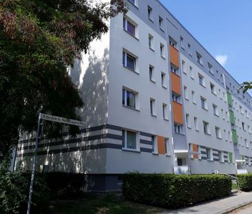 1-Raumwohnung in Knieper West sucht Mieter! - Photo 1