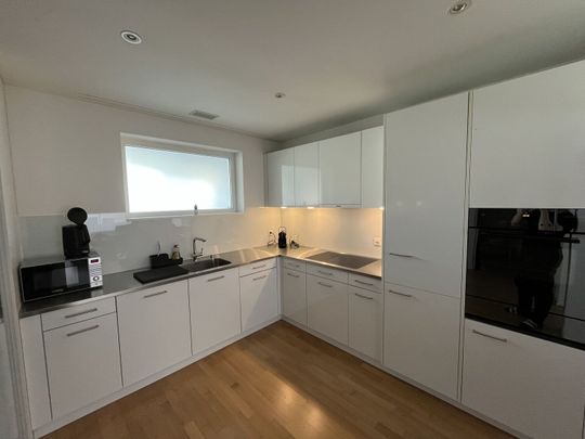 21/2-ROOM APARTMENT IN ROTKREUZ (ZG), FURNISHED, TEMPORARY - Photo 1