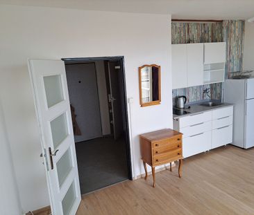 Pronájem bytu 1+kk 35 m² - Fotografie 4
