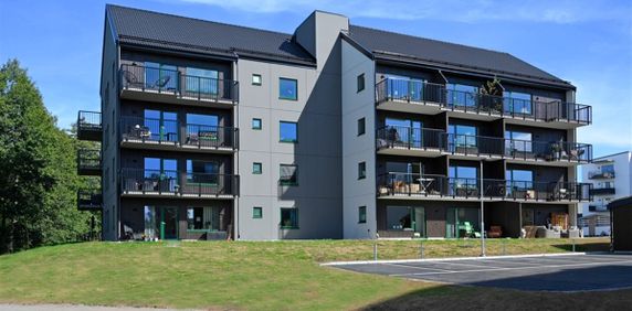 Avenboksgatan 1D - Photo 2