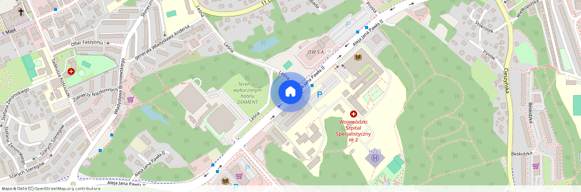 al. Jana Pawła II, Jastrzębie-Zdrój, śląskie