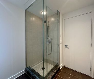 250 Chemin de la Pointe Sud, #2206 - Photo 6