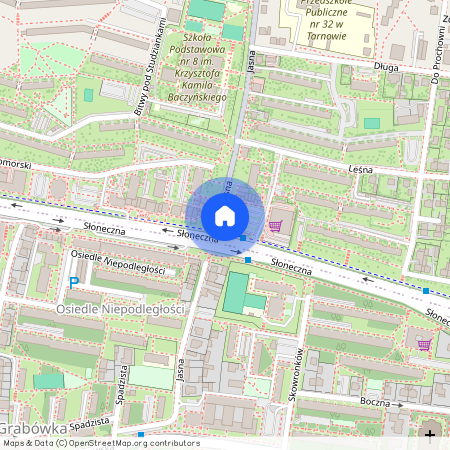 ul. Leśna, Tarnów, małopolskie