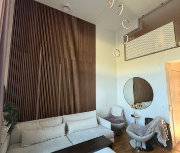 Storseglet, Vega - Foto 6