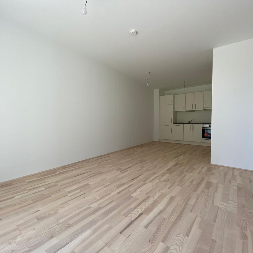 1. MONAT MIETZINSFREI! Moderne 2-Zimmer-Wohnung mit Balkon in den Innenhof - Foto 1