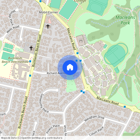 20 Richard Avenue, Bucklands Beach, Manukau City