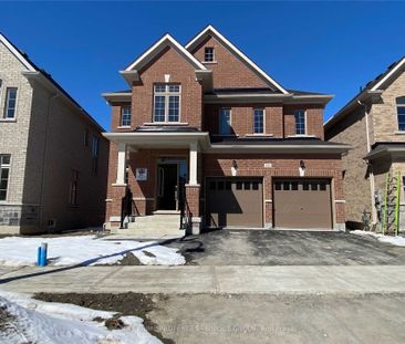 Detached Home For Lease | N8132144 - Photo 4