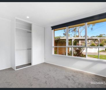 3 BEDROOMS & 2 BATHROOMS - Photo 4