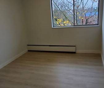 1-Bedroom Apartment-Newly Renovated - Photo 3