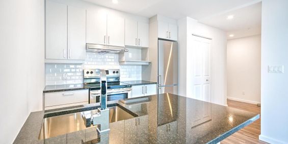 1 chambre - 280 René-Lévesque Ouest, Montréal - Photo 3