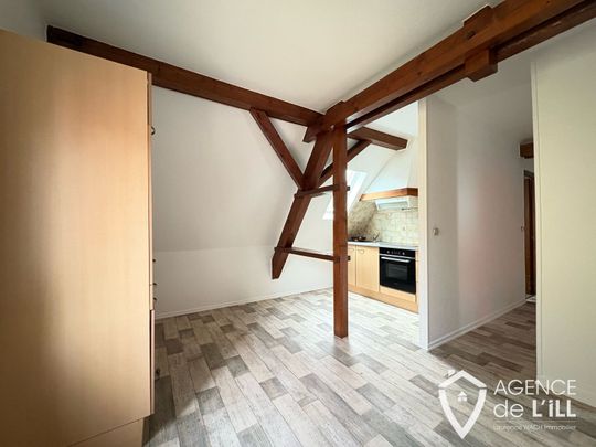 Location Appartement 1 pièce 31m² SELESTAT 67600 - Photo 1