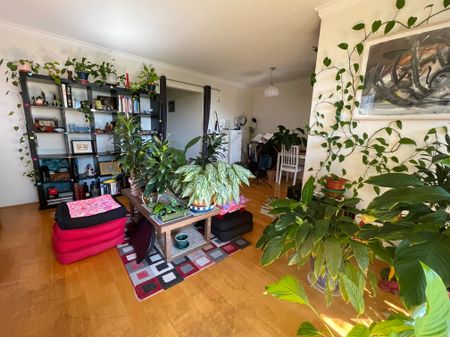 Centennial Park - Photo 3