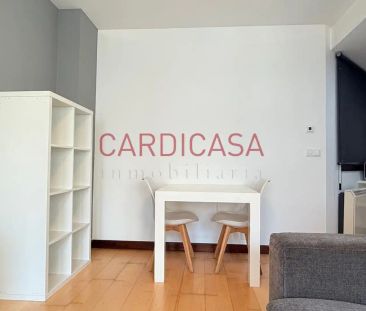 Estudio de alquiler en Joaquín Loriga, Plaza España - Corte Inglés - Foto 1